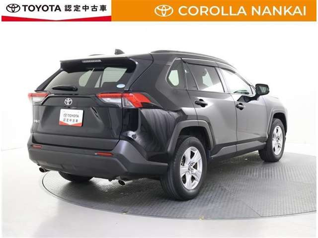 RAV42.0 X
