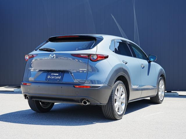 CX-302.0 20S プロアクティブ