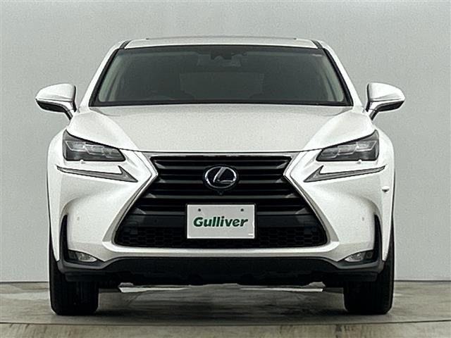 NX300h バージョンL