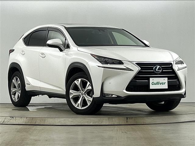 NX300h バージョンL