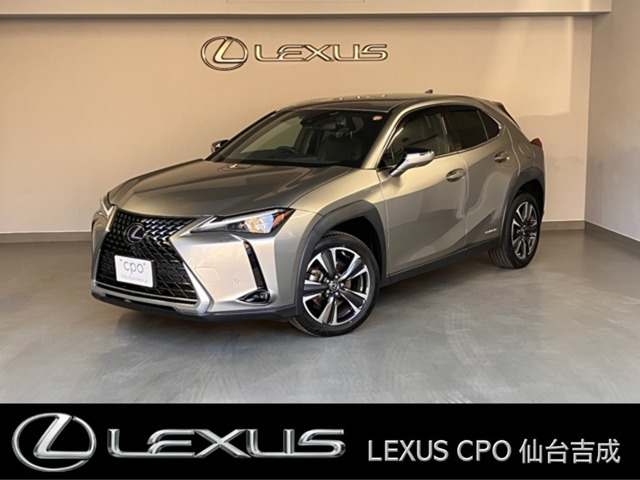 UX250h バージョンL