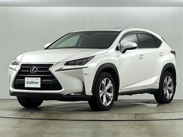 NX300h バージョンL