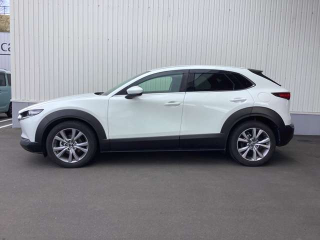 CX-302.0 20S