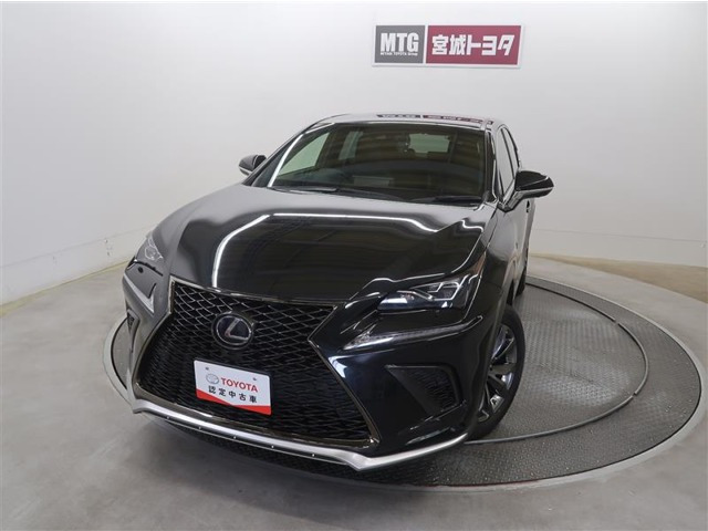 NX300h Fスポーツ 4WD