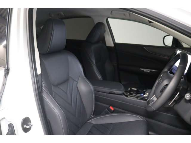 NX250 バージョンL 4WD