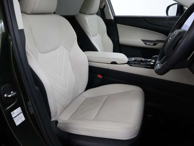 NX250 バージョンL