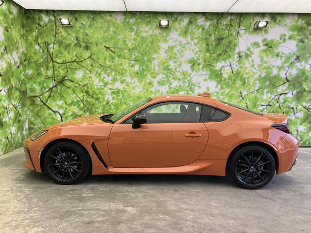 GR862.4 RZ 10th アニバーサリー リミテッド