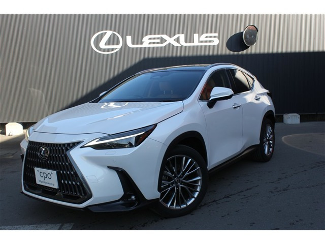 NX250 バージョンL 4WD