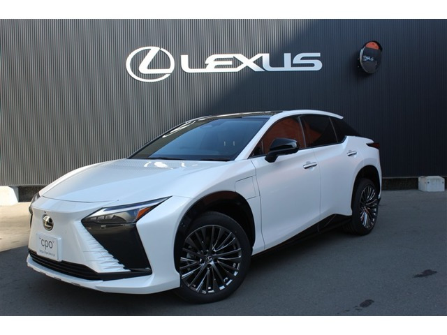 RZ300e バージョンL