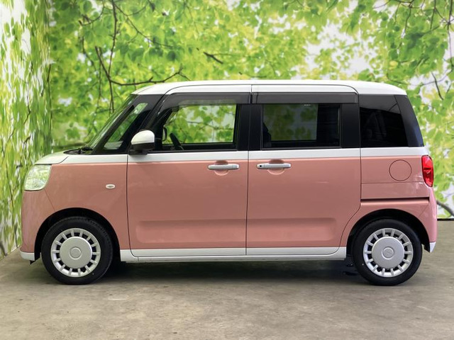 ムーヴキャンバスストライプス X