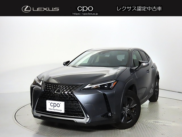 UX250h バージョンC