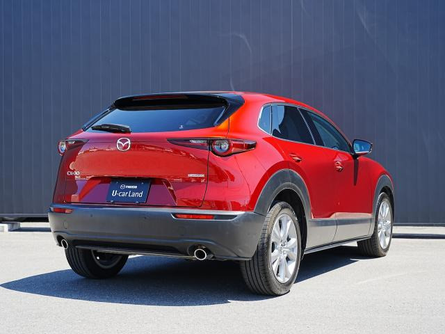 CX-302.0 20S プロアクティブ