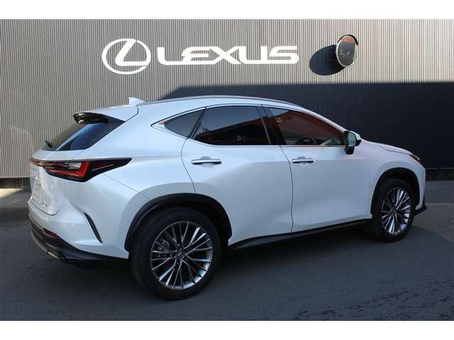 NX250 バージョンL 4WD