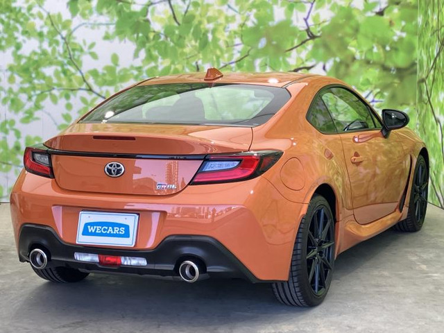 GR862.4 RZ 10th アニバーサリー リミテッド