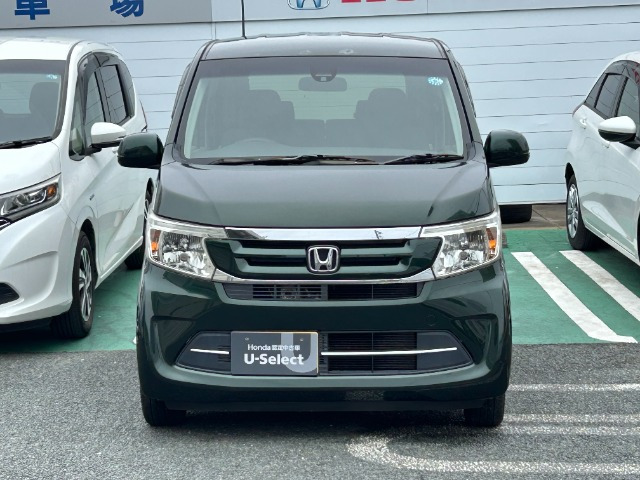 N-WGNG Lパッケージ