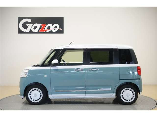 ムーヴキャンバスストライプス G