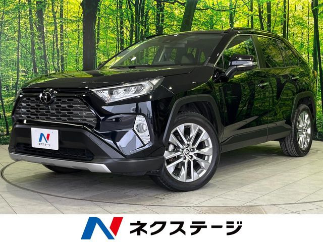 RAV42.0 G Zパッケージ 4WD
