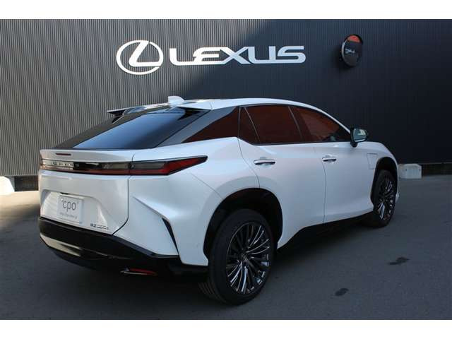 RZ300e バージョンL