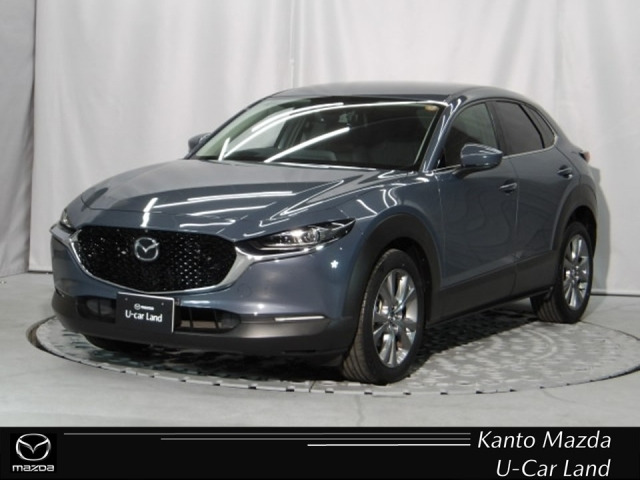 CX-302.0 20S プロアクティブ ツーリングセレクション 4WD