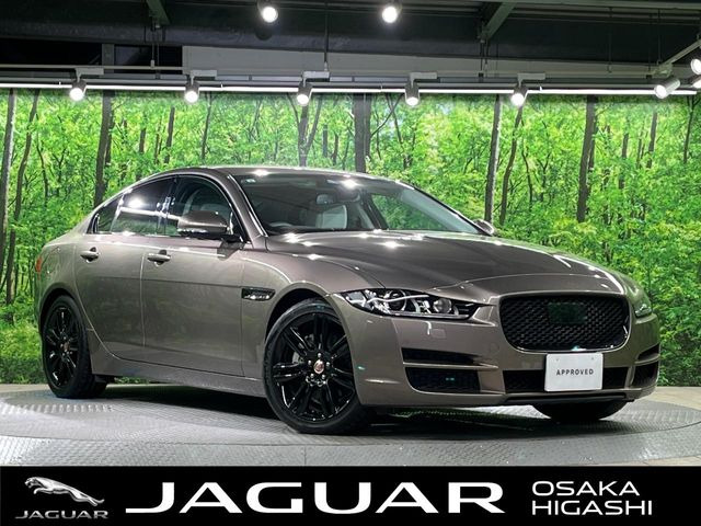 XE2.0 プレステージ