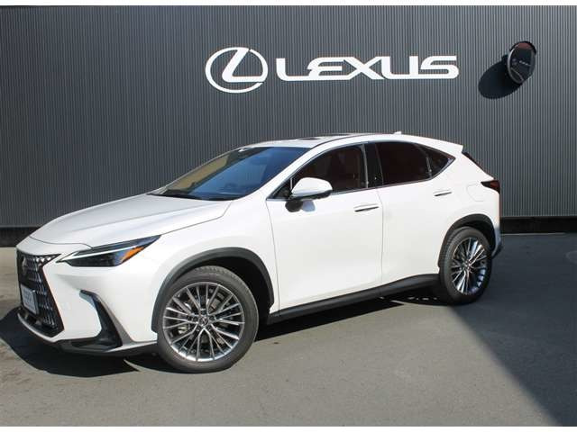 NX350h バージョンL