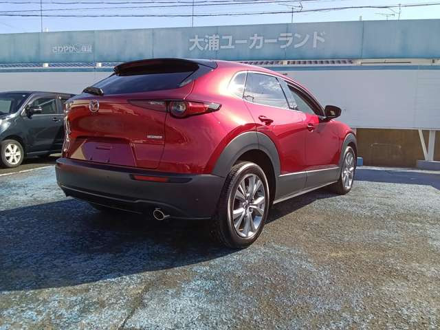 CX-302.0 20S プロアクティブ