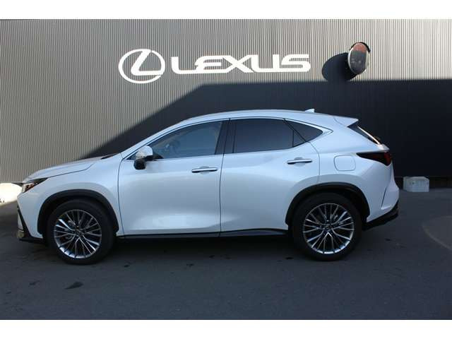 NX250 バージョンL 4WD