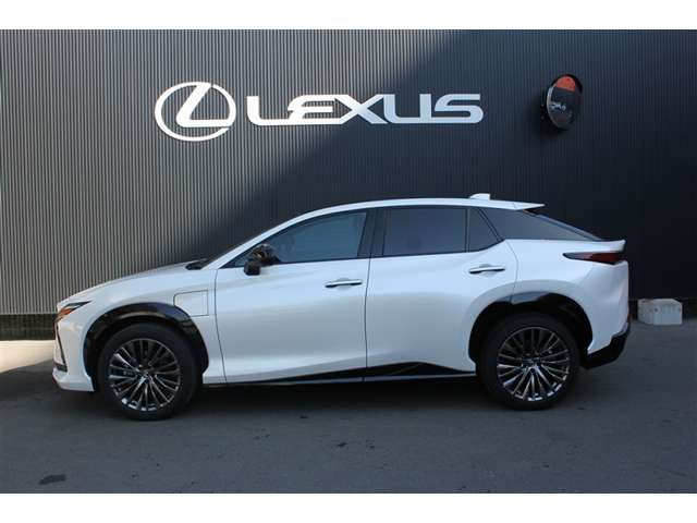 RZ300e バージョンL