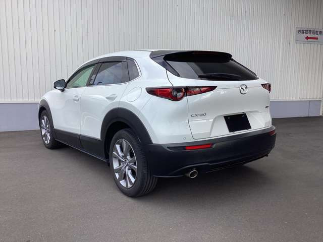 CX-302.0 20S