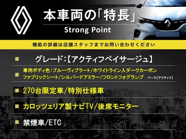 カングーアクティフ ペイザージュ