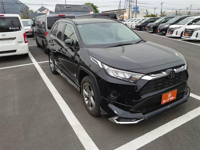 RAV42.0 X