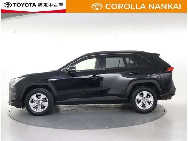 RAV42.0 X