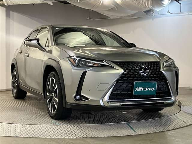 UX250h バージョンC