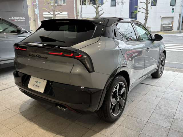 ジュニアイブリダ プレミアム