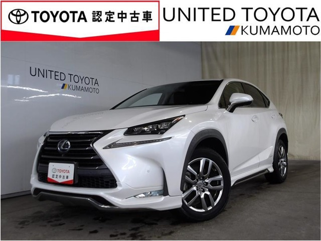 NX300h Iパッケージ