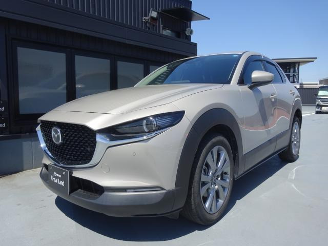 CX-302.0 20S プロアクティブ ツーリングセレクション