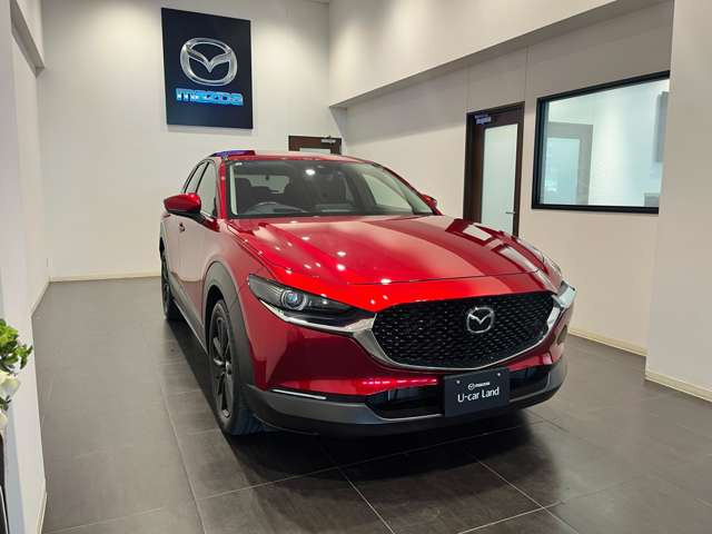 CX-302.0 20S プロアクティブ ツーリングセレクション