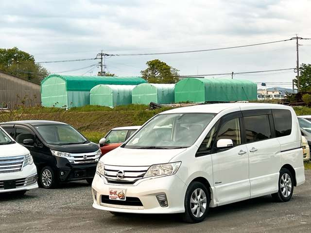 �y39.8���X�J�[�Y�̎��q���������������A���ɂ��肪�Ƃ��������܂��B���������S�s���c1186-7TEL:0942-73-6060�܂ł��⍇����������
