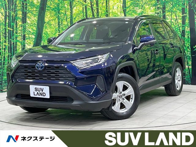 RAV42.5 ハイブリッド X