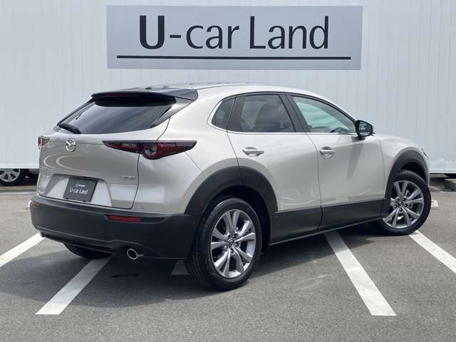 CX-302.0 20S