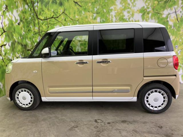 ムーヴキャンバスストライプス G