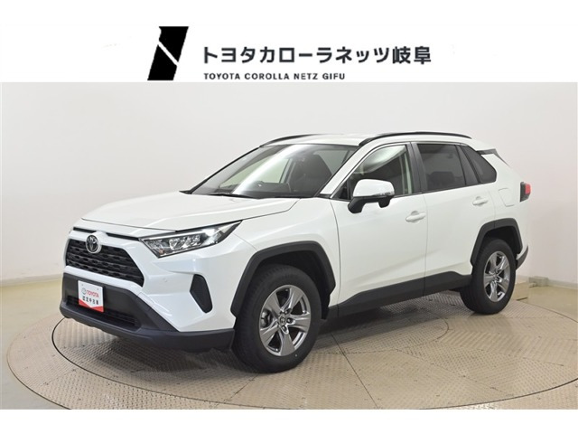 RAV42.0 X
