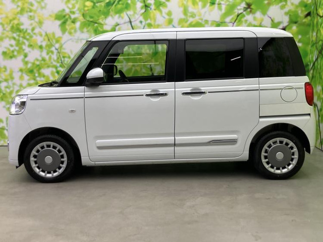 ムーヴキャンバスセオリー G