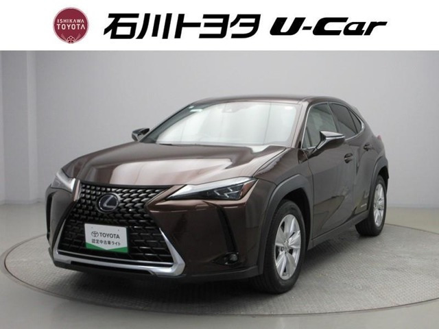 UX250h バージョンC