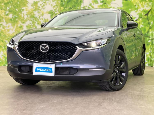 CX-302.0 20S ブラックトーンエディション
