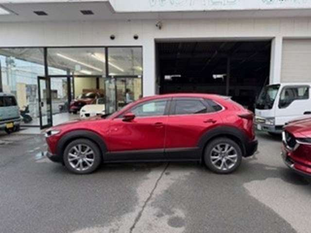 CX-302.0 20S