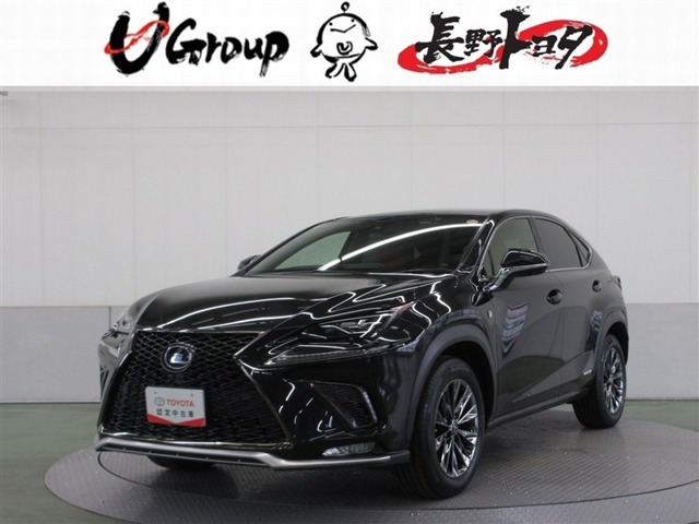 NX300h Fスポーツ 4WD