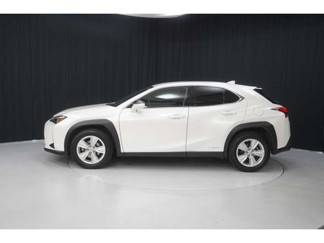 UX250h バージョンC