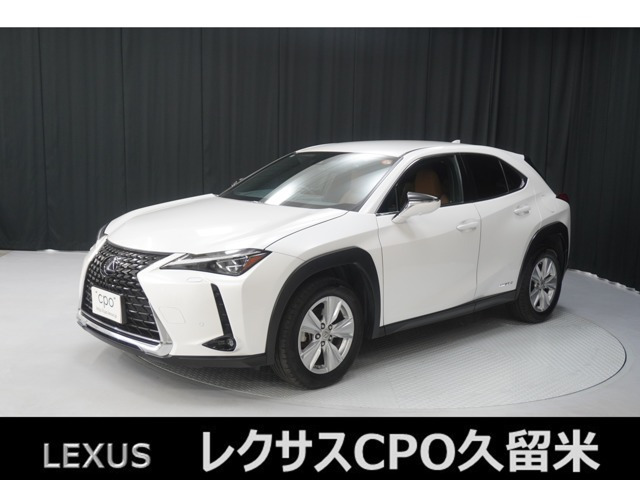 UX250h バージョンC