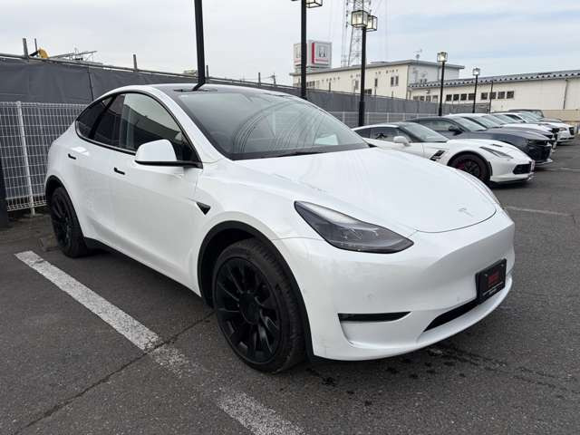 モデルYロングレンジ 4WD